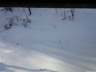 長野県菅平高原 ゆたか山荘 南側 2026/01/21 08:30