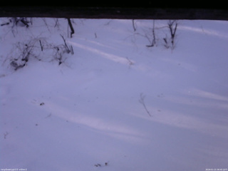 長野県菅平高原 ゆたか山荘 南側 2026/01/21 08:45