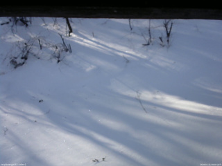 長野県菅平高原 ゆたか山荘 南側 2026/01/21 09:00