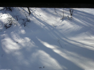 長野県菅平高原 ゆたか山荘 南側 2026/01/21 09:45