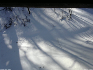 長野県菅平高原 ゆたか山荘 南側 2026/01/21 10:15