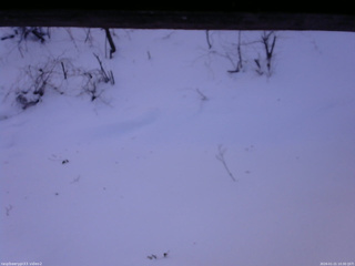 長野県菅平高原 ゆたか山荘 南側 2026/01/21 10:30