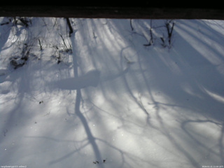 長野県菅平高原 ゆたか山荘 南側 2026/01/21 11:00