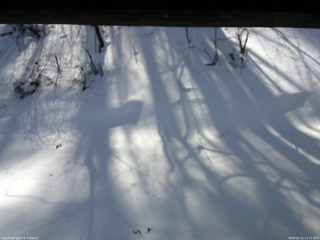 長野県菅平高原 ゆたか山荘 南側 2026/01/21 11:15