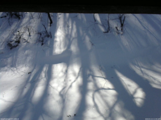 長野県菅平高原 ゆたか山荘 南側 2026/01/21 11:30