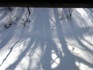 長野県菅平高原 ゆたか山荘 南側 2026/01/21 11:45