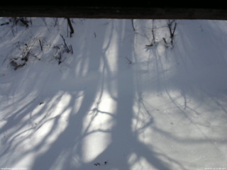 長野県菅平高原 ゆたか山荘 南側 2026/01/21 12:00