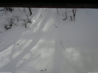 長野県菅平高原 ゆたか山荘 南側 2026/01/21 12:30