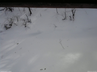 長野県菅平高原 ゆたか山荘 南側 2026/01/21 12:45