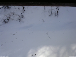 長野県菅平高原 ゆたか山荘 南側 2026/01/21 13:00