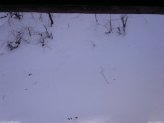 長野県菅平高原 ゆたか山荘 南側 2026/01/21 13:15