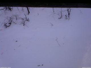 長野県菅平高原 ゆたか山荘 南側 2026/01/21 13:30