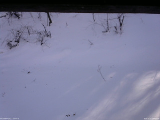 長野県菅平高原 ゆたか山荘 南側 2026/01/21 13:45