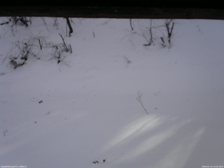 長野県菅平高原 ゆたか山荘 南側 2026/01/21 14:00