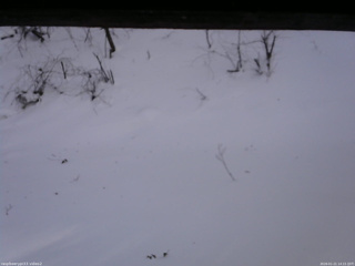 長野県菅平高原 ゆたか山荘 南側 2026/01/21 14:15