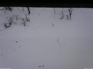 長野県菅平高原 ゆたか山荘 南側 2026/01/21 14:30