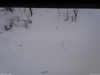 長野県菅平高原 ゆたか山荘 南側 2026/01/21 14:45