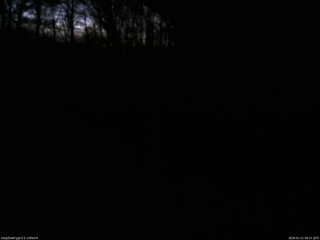 長野県菅平高原 ゆたか山荘 東側(坂下) 2026/01/21 06:15