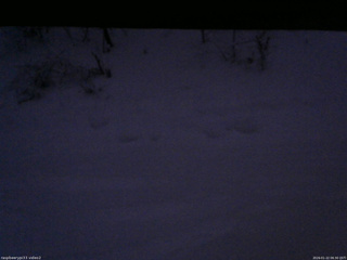 長野県菅平高原 ゆたか山荘 南側 2026/01/22 06:30