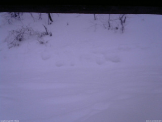 長野県菅平高原 ゆたか山荘 南側 2026/01/22 06:45