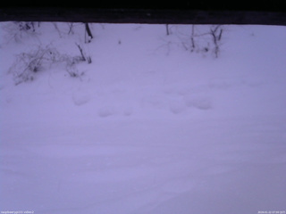 長野県菅平高原 ゆたか山荘 南側 2026/01/22 07:00