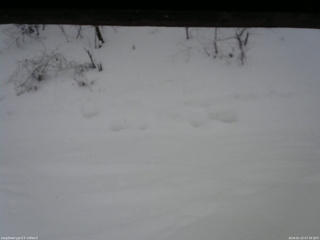 長野県菅平高原 ゆたか山荘 南側 2026/01/22 07:30