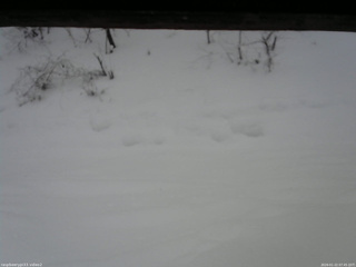 長野県菅平高原 ゆたか山荘 南側 2026/01/22 07:45