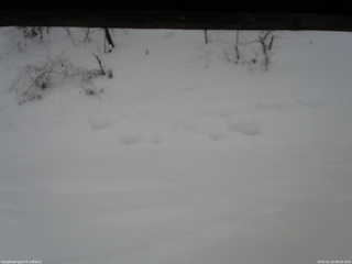 長野県菅平高原 ゆたか山荘 南側 2026/01/22 08:00