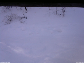 長野県菅平高原 ゆたか山荘 南側 2026/01/22 08:15