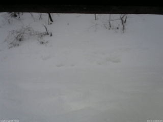 長野県菅平高原 ゆたか山荘 南側 2026/01/22 08:30