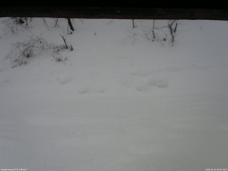 長野県菅平高原 ゆたか山荘 南側 2026/01/22 08:45