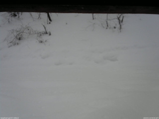 長野県菅平高原 ゆたか山荘 南側 2026/01/22 09:00