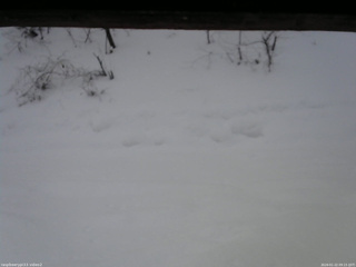 長野県菅平高原 ゆたか山荘 南側 2026/01/22 09:15