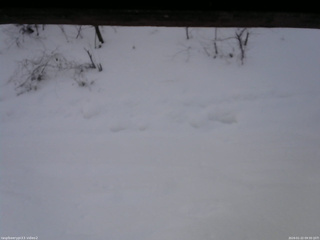 長野県菅平高原 ゆたか山荘 南側 2026/01/22 09:30