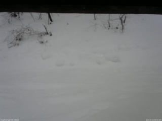 長野県菅平高原 ゆたか山荘 南側 2026/01/22 09:45