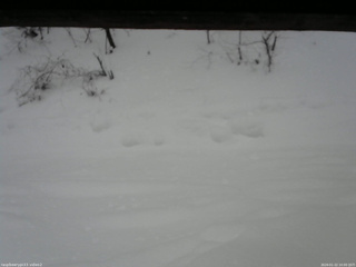 長野県菅平高原 ゆたか山荘 南側 2026/01/22 10:00