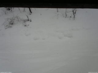 長野県菅平高原 ゆたか山荘 南側 2026/01/22 10:15