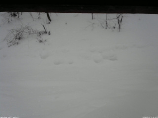 長野県菅平高原 ゆたか山荘 南側 2026/01/22 10:30