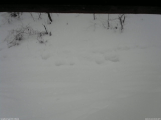 長野県菅平高原 ゆたか山荘 南側 2026/01/22 10:45