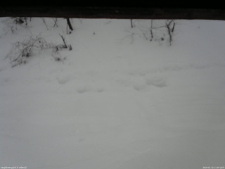 長野県菅平高原 ゆたか山荘 南側 2026/01/22 11:00