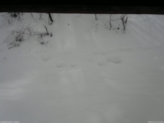 長野県菅平高原 ゆたか山荘 南側 2026/01/22 11:15