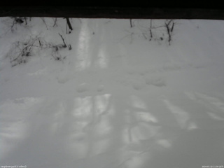 長野県菅平高原 ゆたか山荘 南側 2026/01/22 11:30