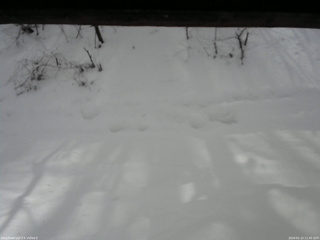 長野県菅平高原 ゆたか山荘 南側 2026/01/22 11:45