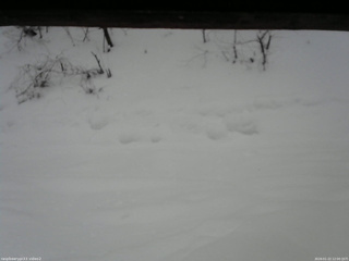 長野県菅平高原 ゆたか山荘 南側 2026/01/22 12:00