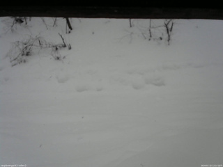 長野県菅平高原 ゆたか山荘 南側 2026/01/22 12:15