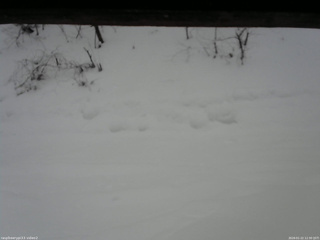 長野県菅平高原 ゆたか山荘 南側 2026/01/22 12:30