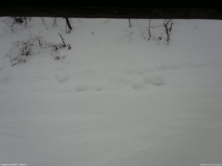 長野県菅平高原 ゆたか山荘 南側 2026/01/22 12:45