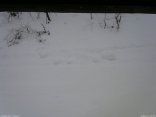 長野県菅平高原 ゆたか山荘 南側 2026/01/22 13:00