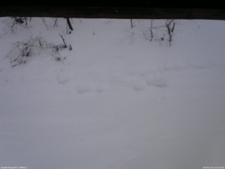 長野県菅平高原 ゆたか山荘 南側 2026/01/22 13:15