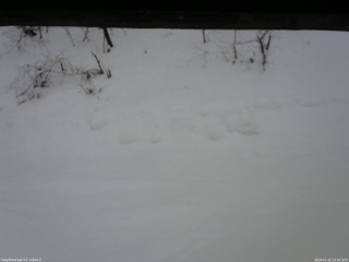 長野県菅平高原 ゆたか山荘 南側 2026/01/22 13:30